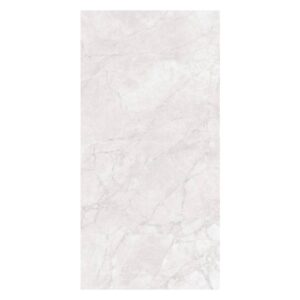 Regal Elite Silver